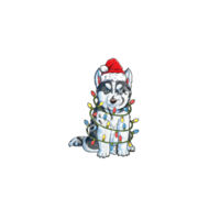 Cute Husky Mischief Helping with the Christmas lights. Design