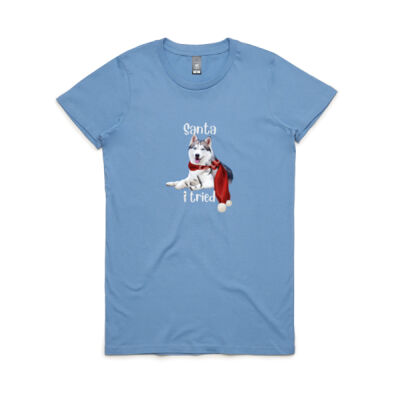 Santa I Tried with a White Faced  husky laying down Thumbnail